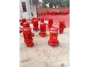 消防泵哪家好 辽宁哪里可以买到品牌好的消防泵