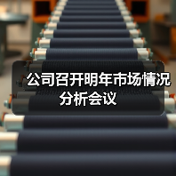 公司召开明年市场情况分析会议(图4) 公司召开明年市场情况分析会议(图4)