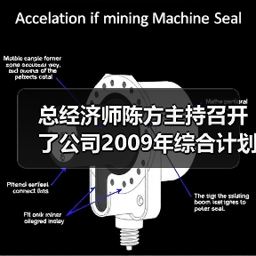 总经济师陈方主持召开了公司2009年综合计划部署会议(图3) 总经济师陈方主持召开了公司2009年综合计划部署会议(图3)