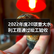 2022年度20项重大水利工程通过竣工验收（图1）