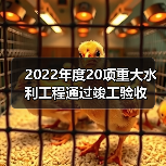 2022年度20项重大水利工程通过竣工验收（图4）