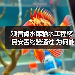 观音阁水库输水工程移民安置终验通过 为何能成为民生保障典范？（图1）