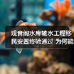 观音阁水库输水工程移民安置终验通过 为何能成为民生保障典范？（图3）