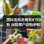 国轩高科宜春采矿权获批 碳酸锂产能稳步释放（图4）