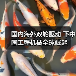 国内海外双轮驱动 下中国工程机械全球崛起（图2）