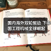 国内海外双轮驱动 下中国工程机械全球崛起（图3）