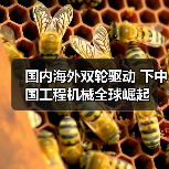 国内海外双轮驱动 下中国工程机械全球崛起（图4）