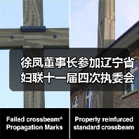 徐凤董事长参加辽宁省妇联十一届四次执委会议（图2）