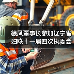 徐凤董事长参加辽宁省妇联十一届四次执委会议（图4）