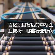 百亿项目背后的中标企业揭秘：哪些行业斩获最大订单？（图2）