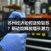 苏州经济如何逆势复苏？新动能释放增长潜力（图4）