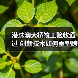 港珠澳大桥竣工验收通过 创新技术如何重塑跨海工程(图4) 港珠澳大桥竣工验收通过 创新技术如何重塑跨海工程(图4)