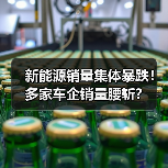 新能源销量集体暴跌！多家车企销量腰斩？（图4）