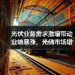 光伏业务需求激增带动业绩暴涨，光储市场增长潜力如何？（图3）