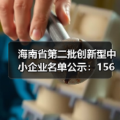 海南省第二批创新型中小企业名单公示：156家企业入选（图2）
