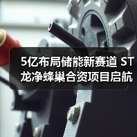5亿布局储能新赛道 ST龙净蜂巢合资项目启航（图2）
