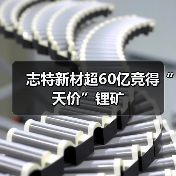 志特新材超60亿竞得“天价”锂矿(图2) 志特新材超60亿竞得“天价”锂矿(图2)