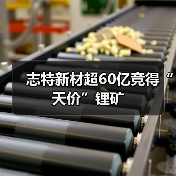 志特新材超60亿竞得“天价”锂矿(图3) 志特新材超60亿竞得“天价”锂矿(图3)