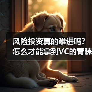 风险投资真的难进吗?怎么才能拿到VC的青睐?(图1) 风险投资真的难进吗?怎么才能拿到VC的青睐?(图1)